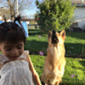 Meet your Posher, Rosy